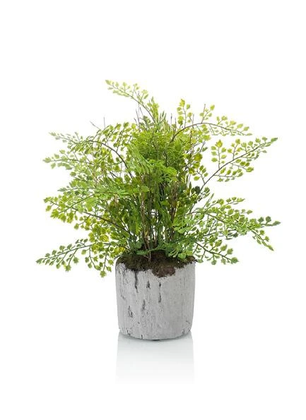 helecho-adiantum-artificial-30cm