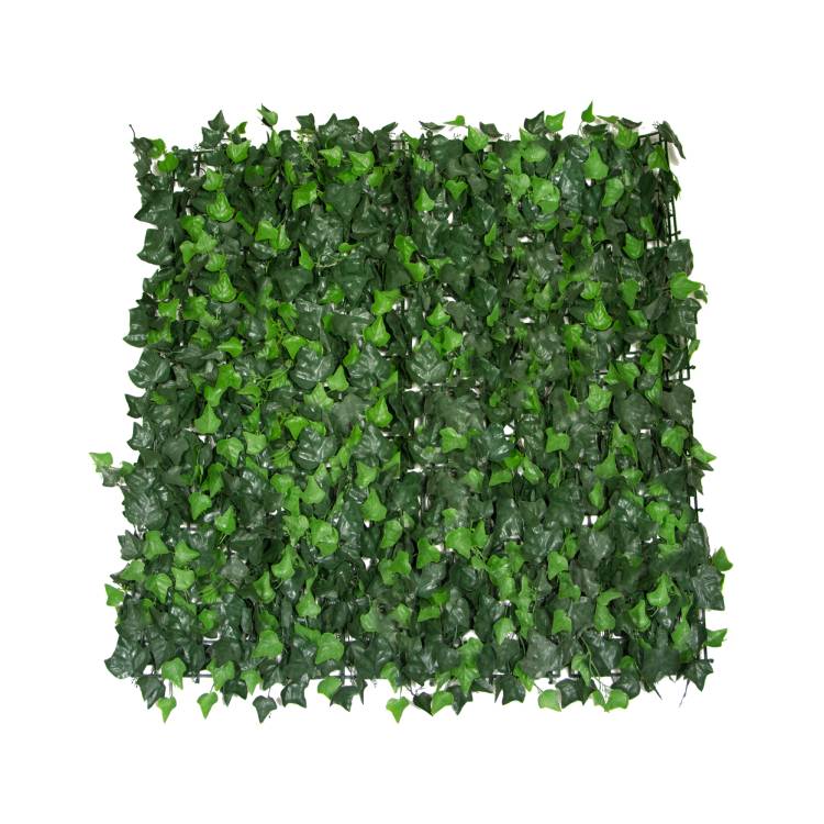 jardin-vertical-hiedra-1x1