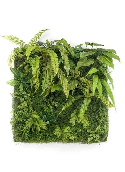 jardin-vertical-salvaje-helechos-musgo