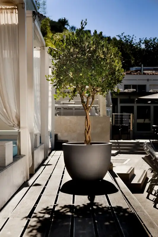 jardinera-orione-50x37cm