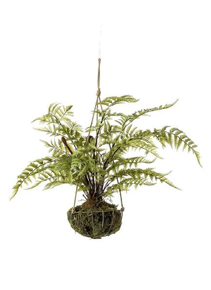 kokedama-helecho-colgante-45cm