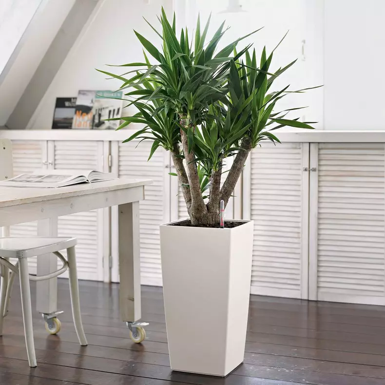 maceta-autorriego-lechuza-cubico-29x5