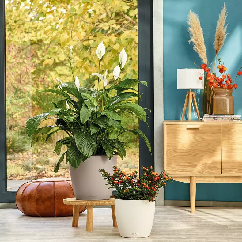 maceta-lechuza-autorriego-classico-color-34cm