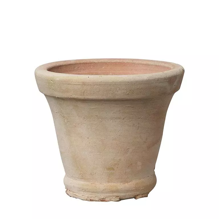 Maceta-vaso-terracota-Eneldo