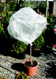 Manta-térmica-antiheladas-para-plantas-cultivos