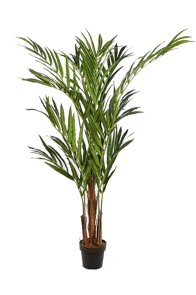 Palmera-Kentia-artificial