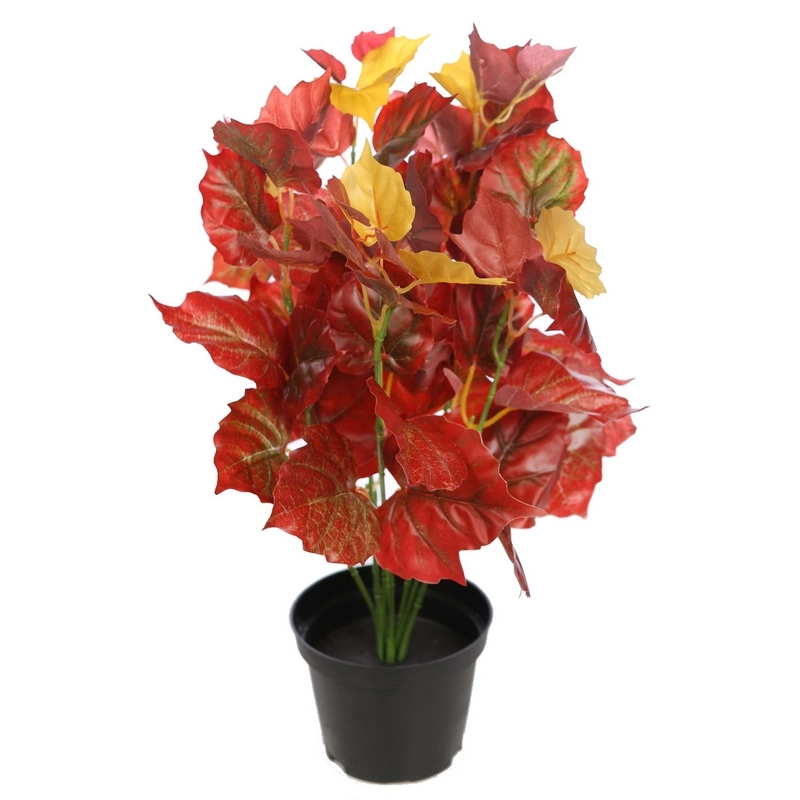 Planta-otoño-artificial-altura