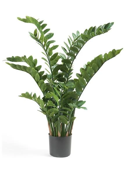 planta-zamioculca-artificial