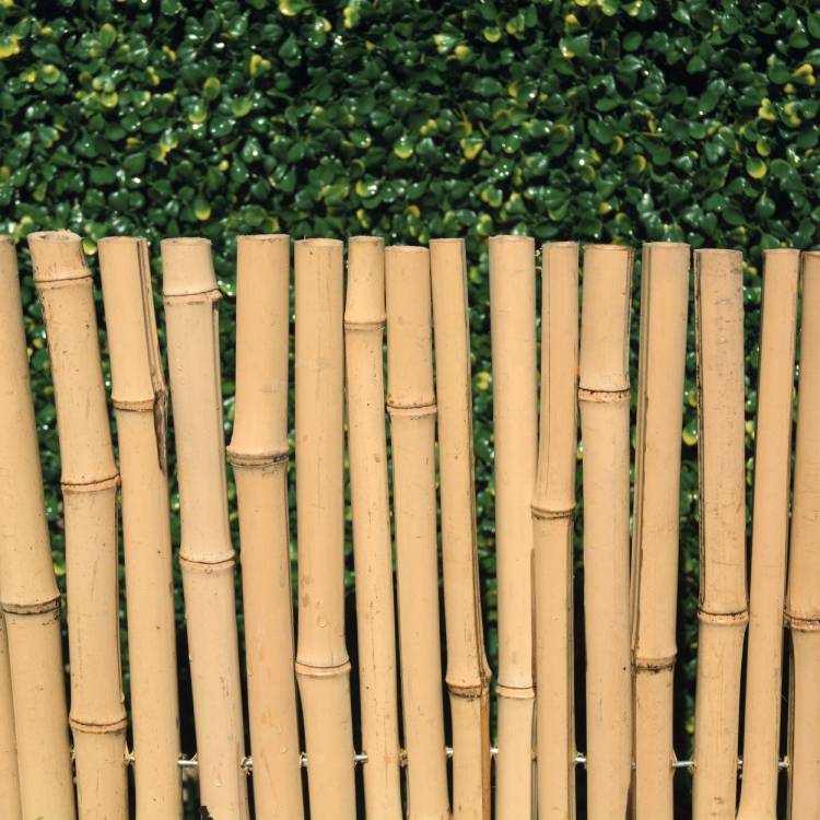 Rollo-ocultación-bambú