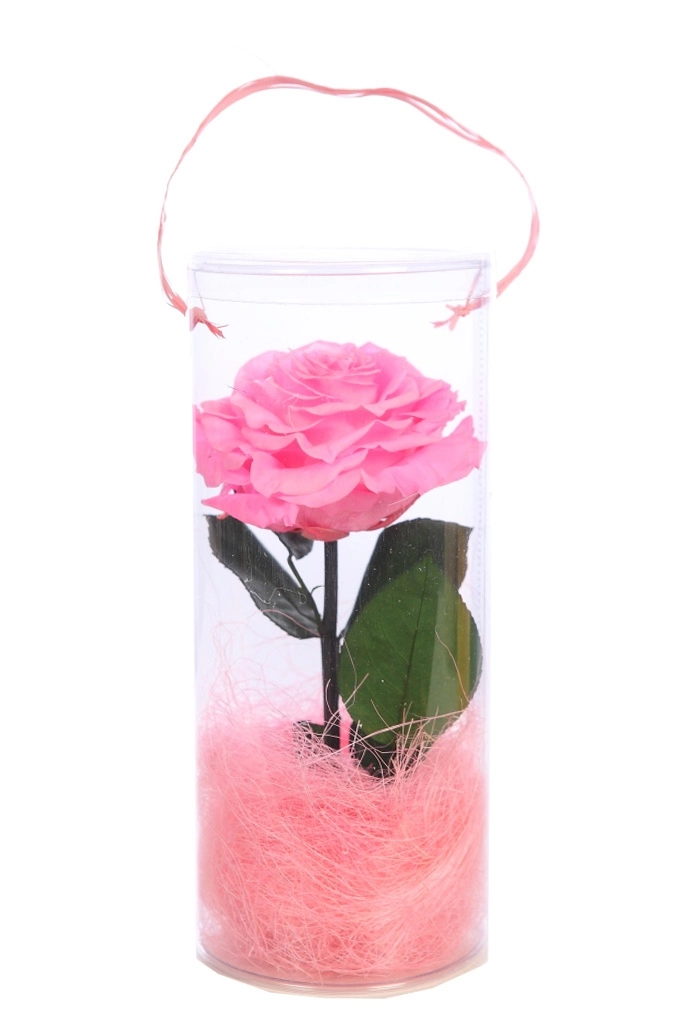 Rosa-eterna-preservada-perfumada