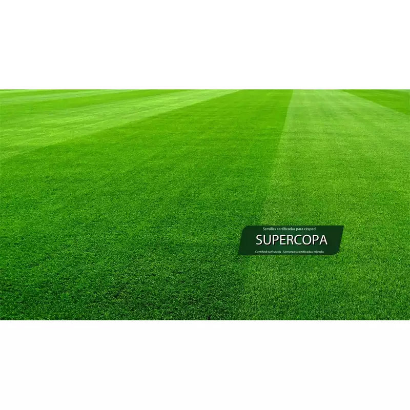 semillas-cesped-supercopa