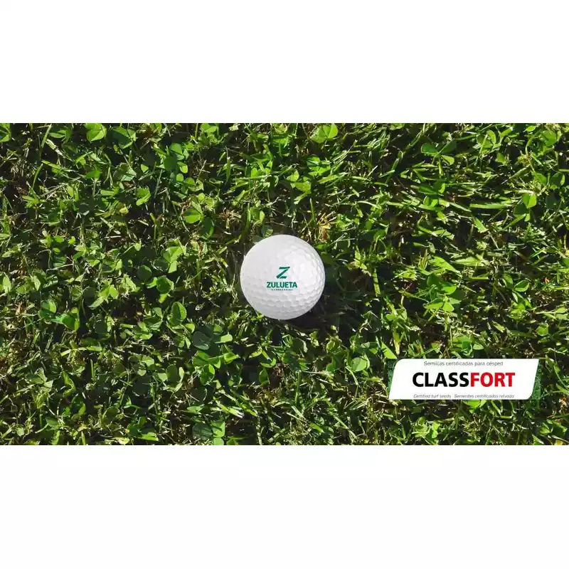 semillas-para-cesped-ornamental-classfort
