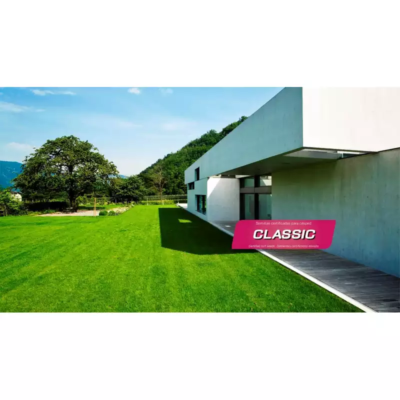 Semillas-para-césped-ornamental-Classic
