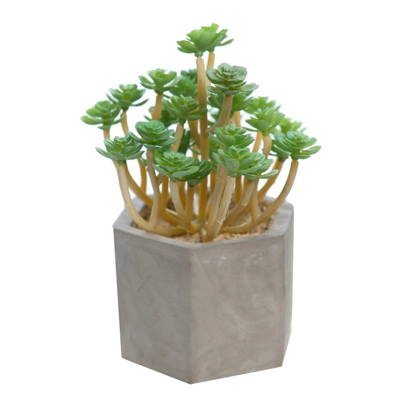 suculenta-artificial-maceta-cemento
