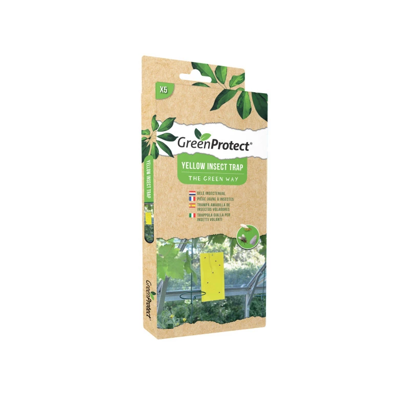 Trampa-cromotrópica-insectos