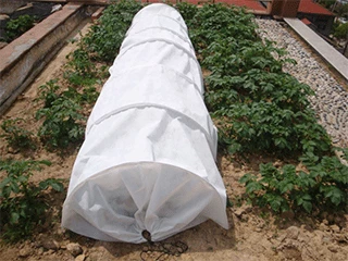 Túnel-Cultivo-Especial-Antiheladas-Protección-Eficaz-para-Plantas