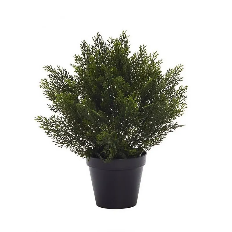 tuya-artificial-bola