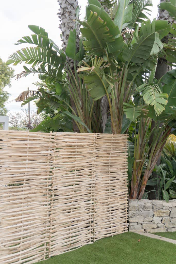 valla-avellano-trenzado